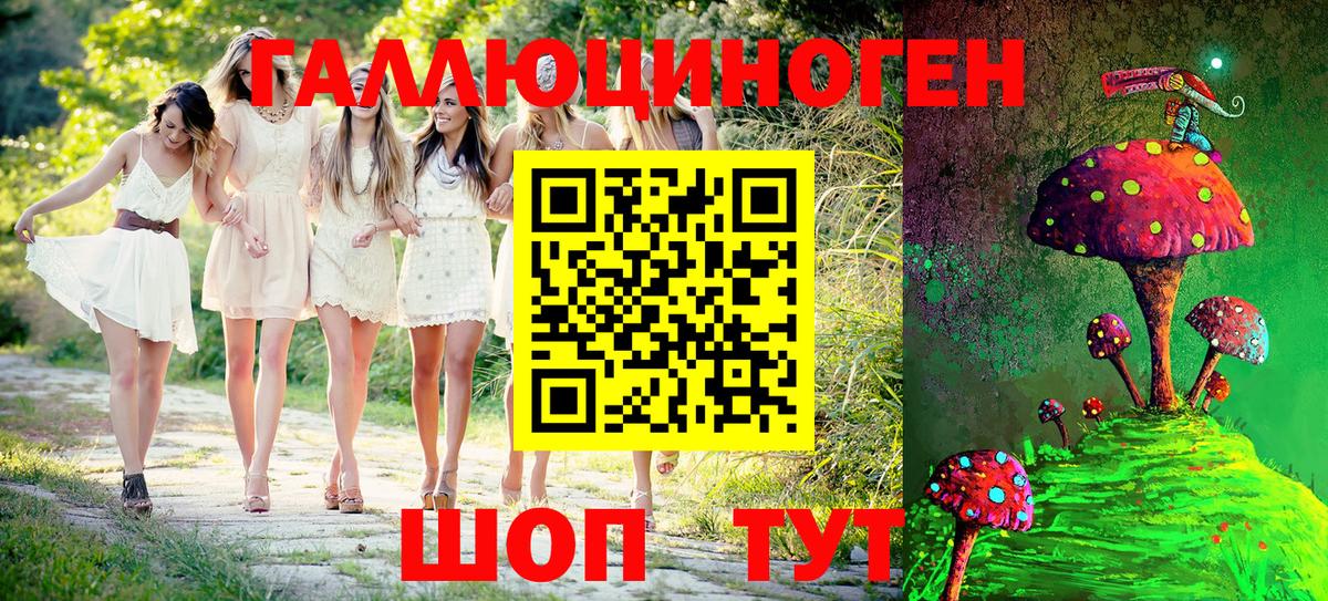 Избербаш  Галлюциногенные грибы Psilocybine cubensis  Вход с VPN 